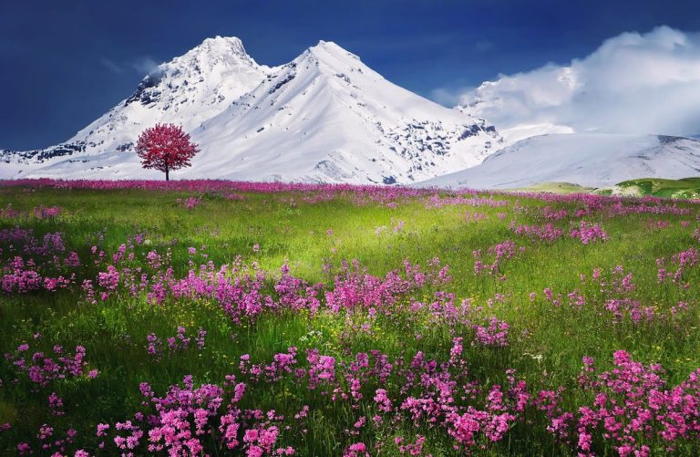 Gratitude Changes Everything: The Spiritual Power of a Thankful Heart