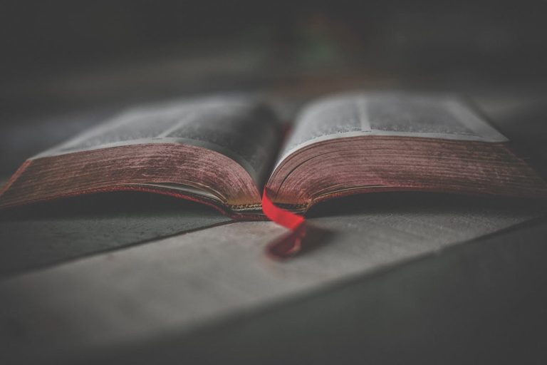 Why Reading the Bible Every Day Will Change Your Life