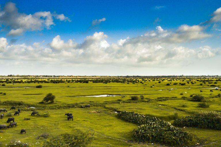 The Secret to Answered Prayers: What Most Christians Miss